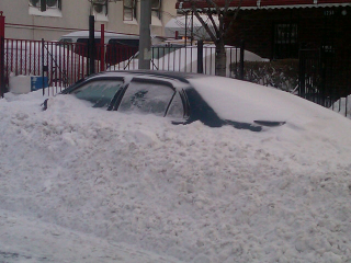 Illustration for article titled The New York City Snowpocalypse In Pictures